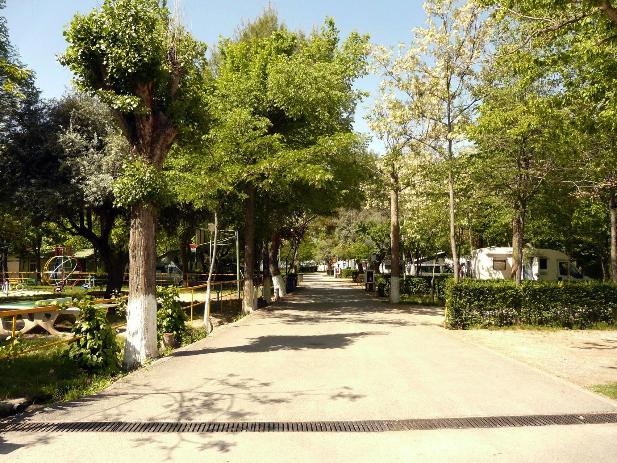 Sierra Nevada Granada
